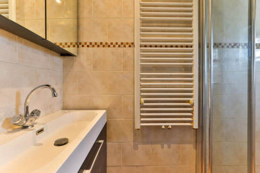 De Trije Roeden 1 Boelenslaan - Afbeelding 26.jpg