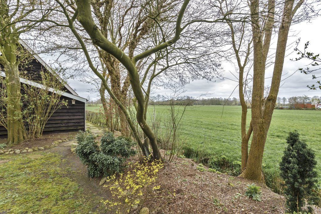 De Trije Roeden 44 Boelenslaan - Afbeelding 26.jpg