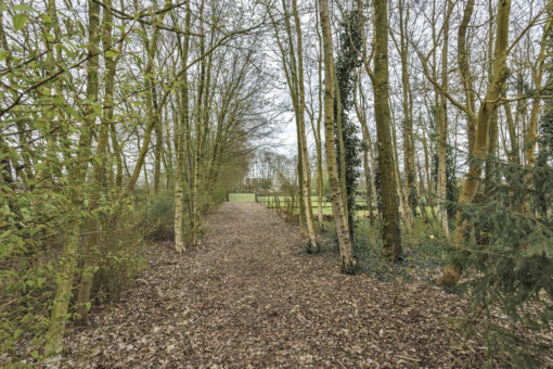 De Trije Roeden 44 Boelenslaan - Afbeelding 55.jpg