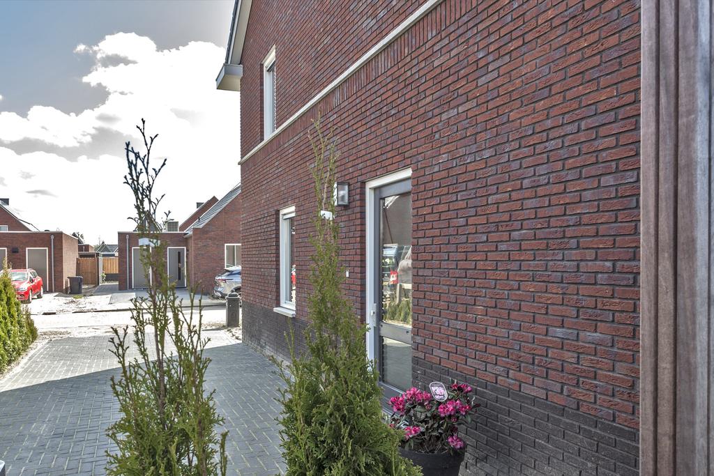 de Warren 3 Kollum - Afbeelding 5.jpg