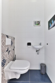 de Weerstallen 25 Kollum - Afbeelding 24.jpg