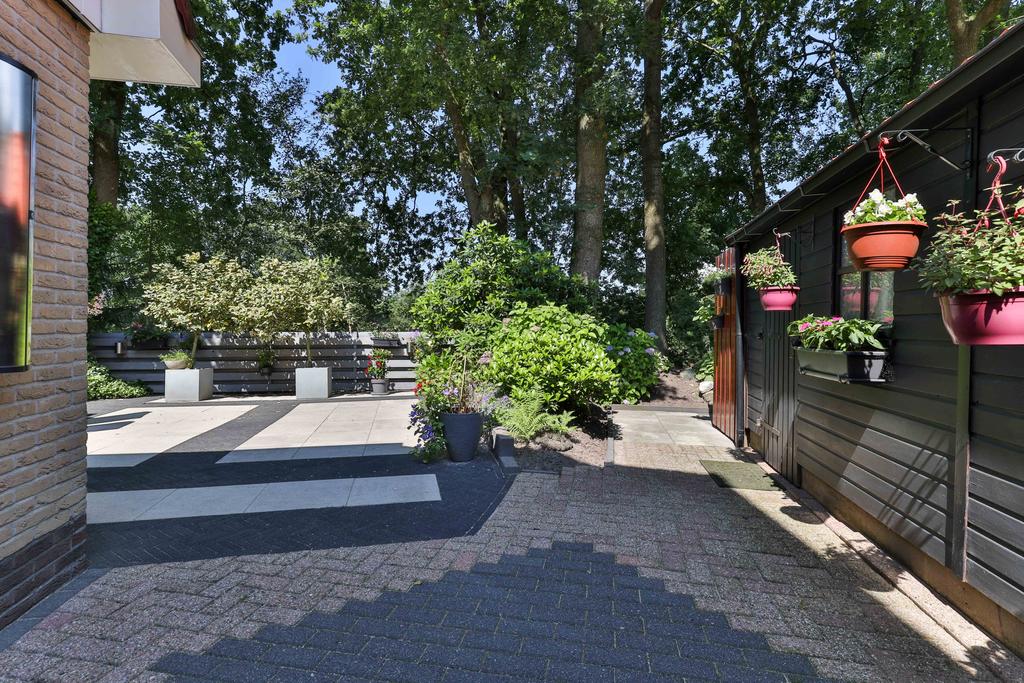 Dobbe 8 Twijzel - Afbeelding 24.jpg