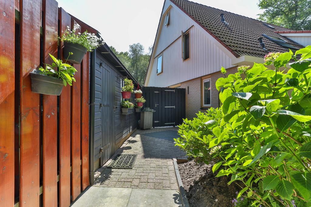 Dobbe 8 Twijzel - Afbeelding 35.jpg