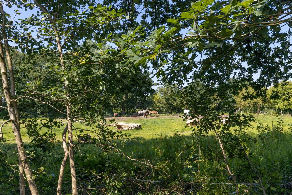 Dobbe 8 Twijzel - Afbeelding 36.jpg