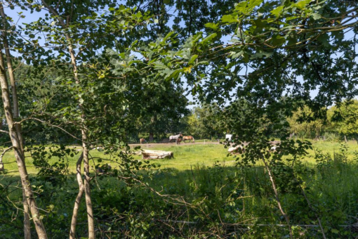 Dobbe 8 Twijzel - Afbeelding 36.jpg