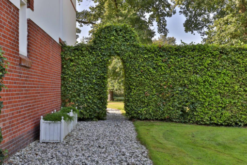 Drachtsterweg 65 Opende - Afbeelding 56.jpg