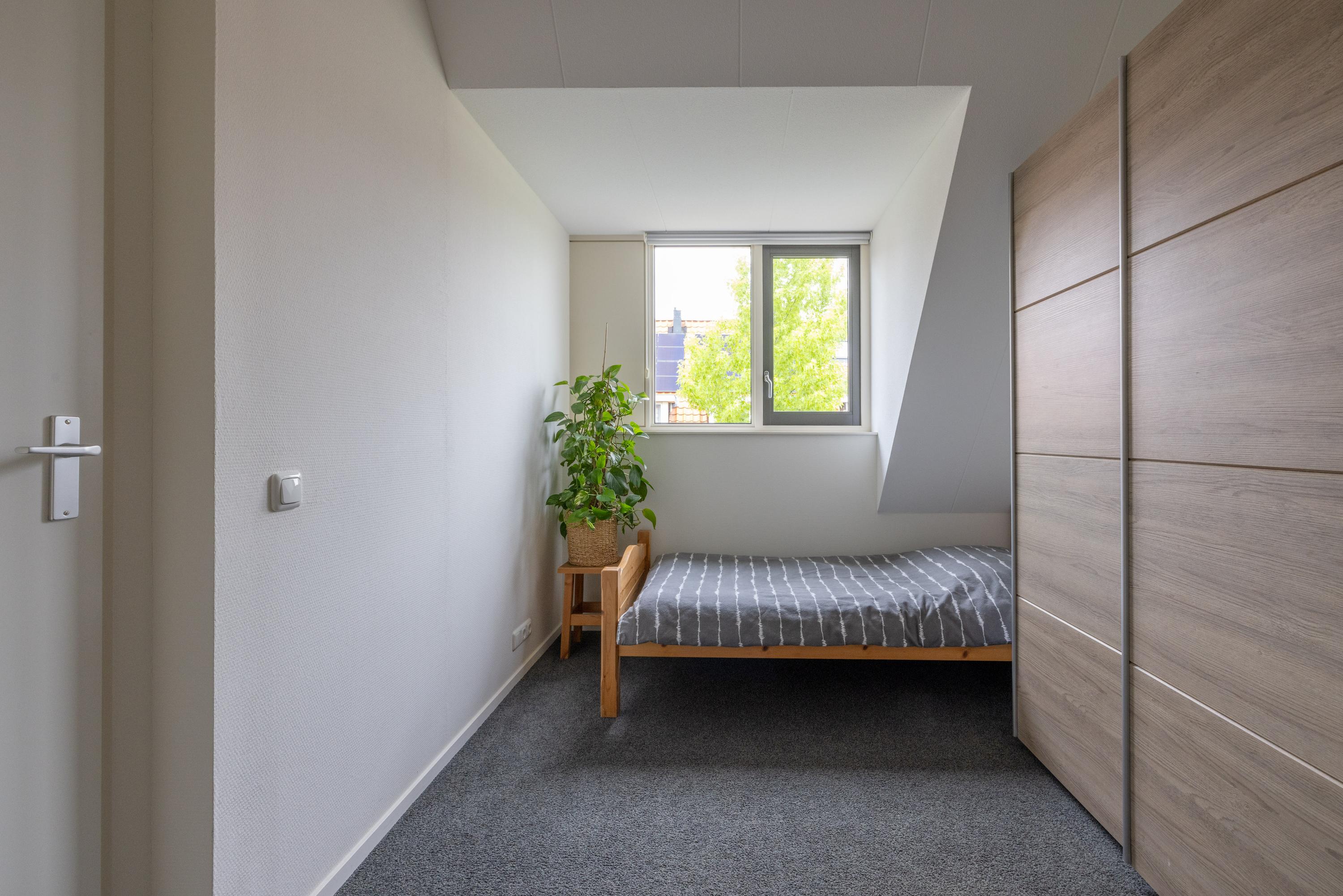 Dubelspul 10 Surhuisterveen - Afbeelding 21.jpg