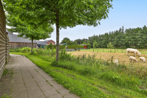 Dubelspul 7 Surhuisterveen - Afbeelding 28.jpg