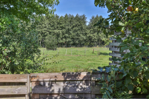 Dubelspul 9 Surhuisterveen - Afbeelding 47.jpg