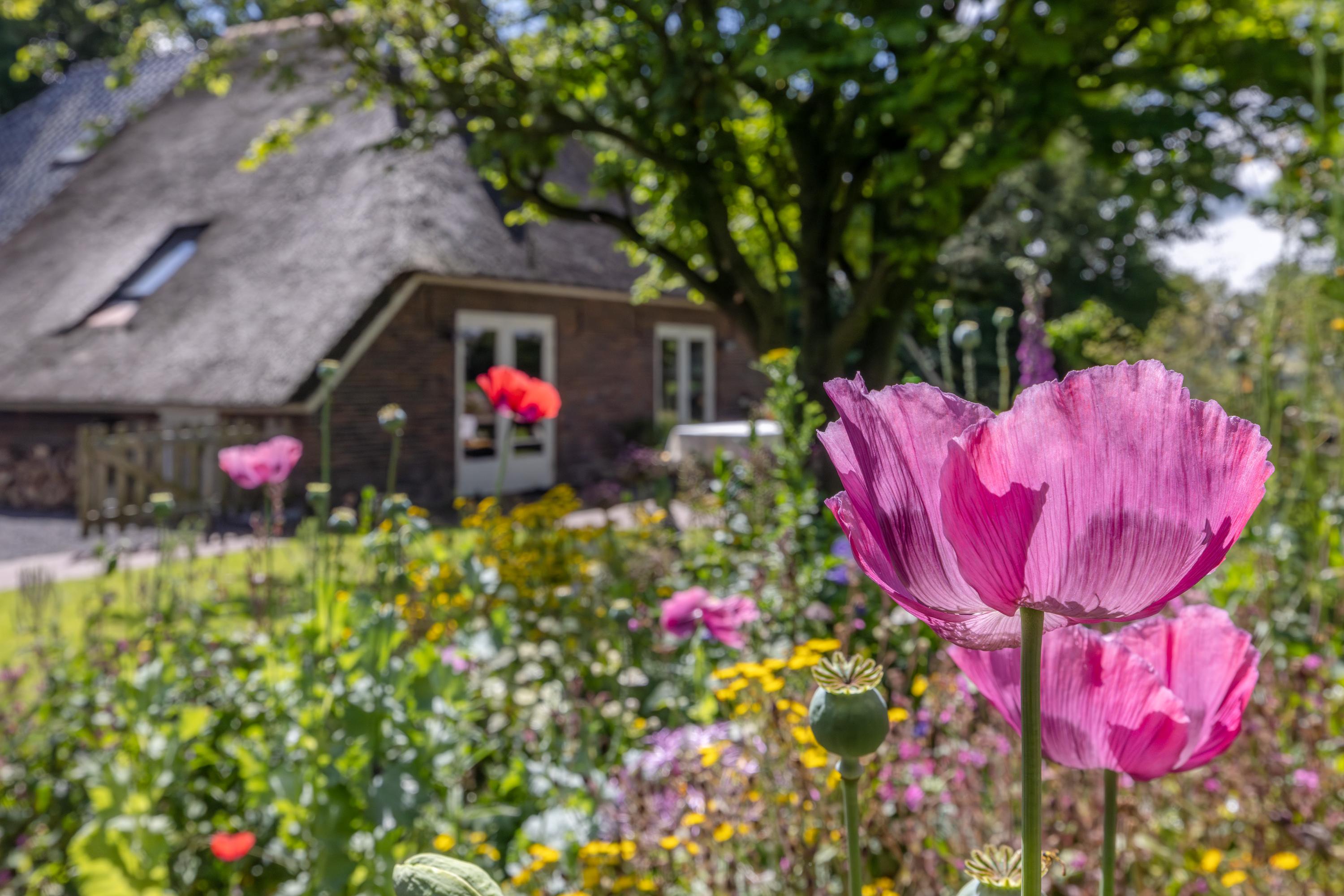 Eesterweg 44 Doezum - Afbeelding 49.jpg