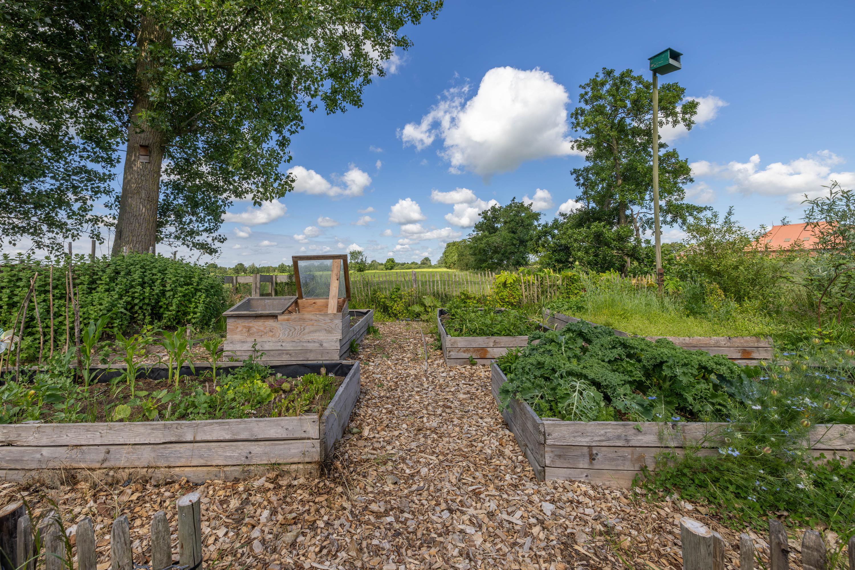 Eesterweg 44 Doezum - Afbeelding 58.jpg