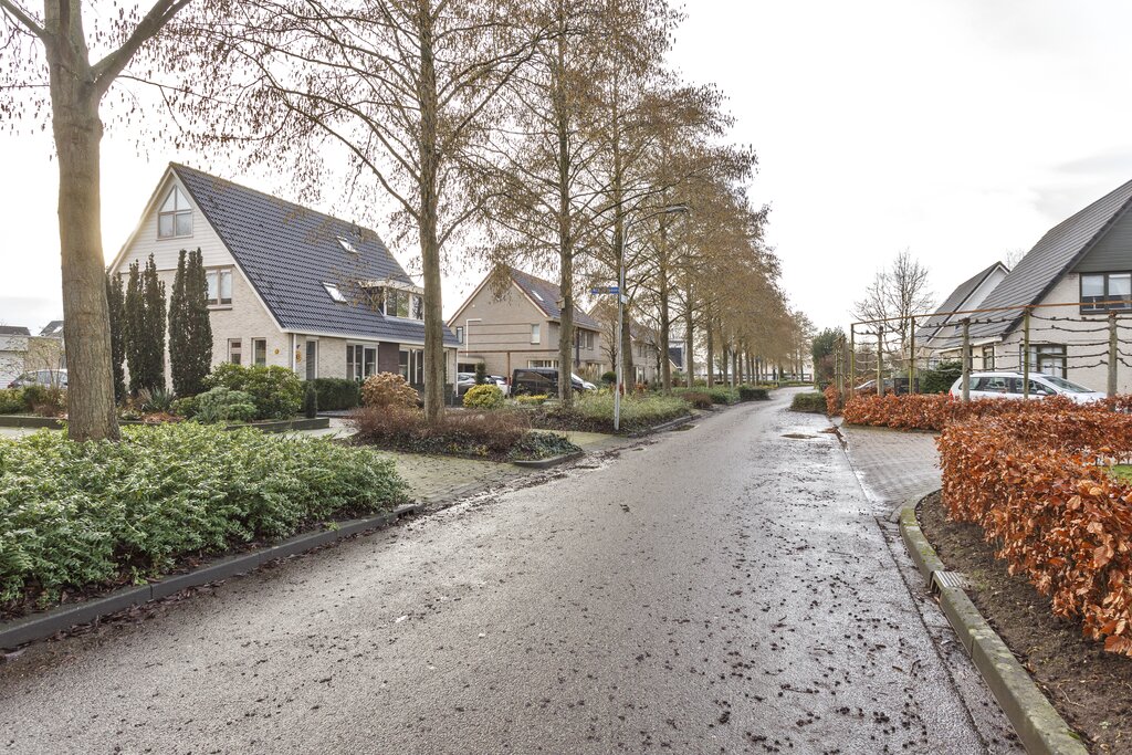 Ereprijs 3 Grootegast - Afbeelding 54.jpg