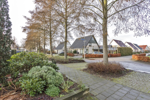 Ereprijs 3 Grootegast - Afbeelding 55.jpg