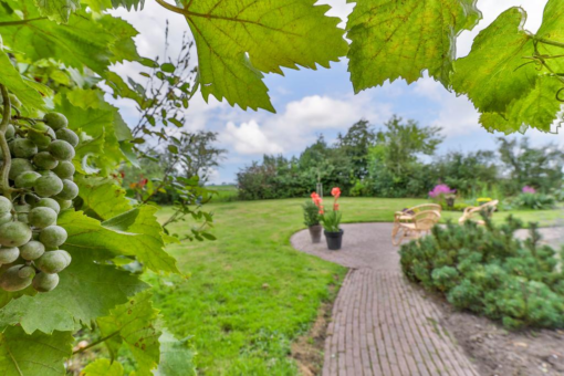 Fanerweg 16 Niekerk - Afbeelding 7.jpg