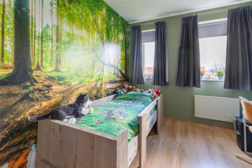 Feanbei 18 Surhuisterveen - Afbeelding 17.jpg