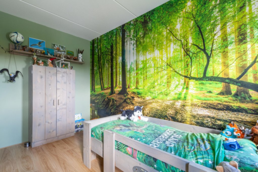 Feanbei 18 Surhuisterveen - Afbeelding 24.jpg