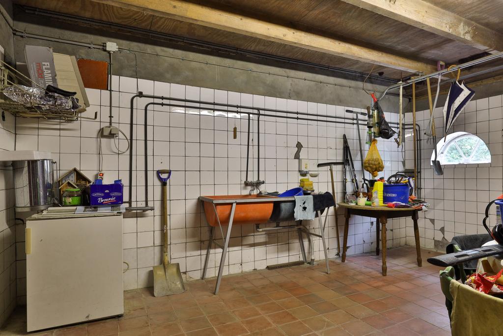 Fjildbuorsterwei 6 Brantgum - Afbeelding 17.jpg