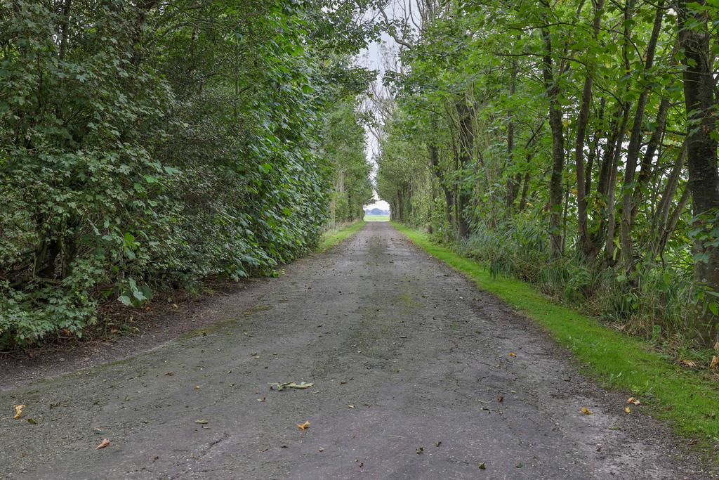 Fjildbuorsterwei 6 Brantgum - Afbeelding 66.jpg