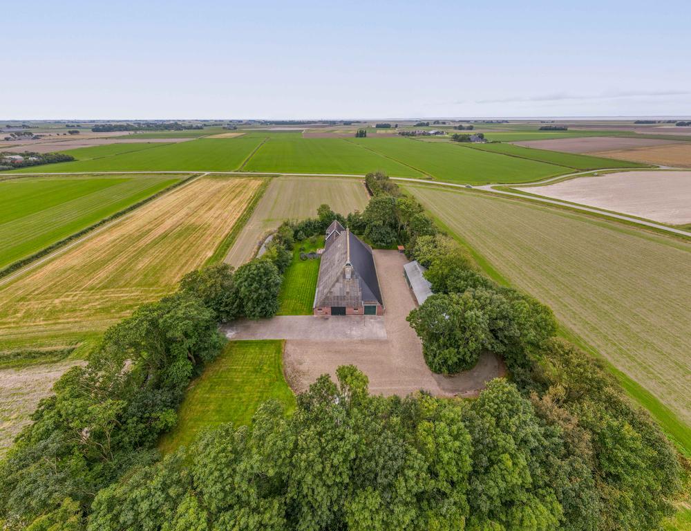 Fjildbuorsterwei 6 Brantgum - Afbeelding 77.jpg