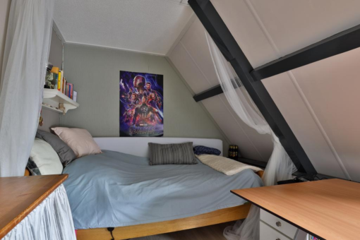 Fjildbuorsterwei 6 Brantgum - Afbeelding 22.jpg