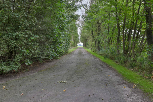 Fjildbuorsterwei 6 Brantgum - Afbeelding 66.jpg