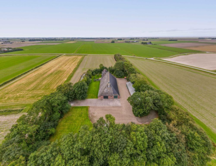 Fjildbuorsterwei 6 Brantgum - Afbeelding 77.jpg