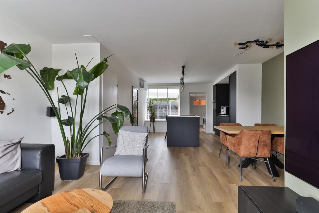 Flaaks-ikker 12 Westergeast - Afbeelding 14.jpg