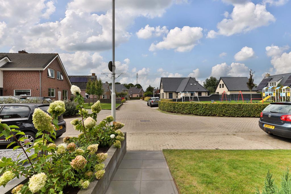 Flaaks-ikker 12 Westergeast - Afbeelding 7.jpg