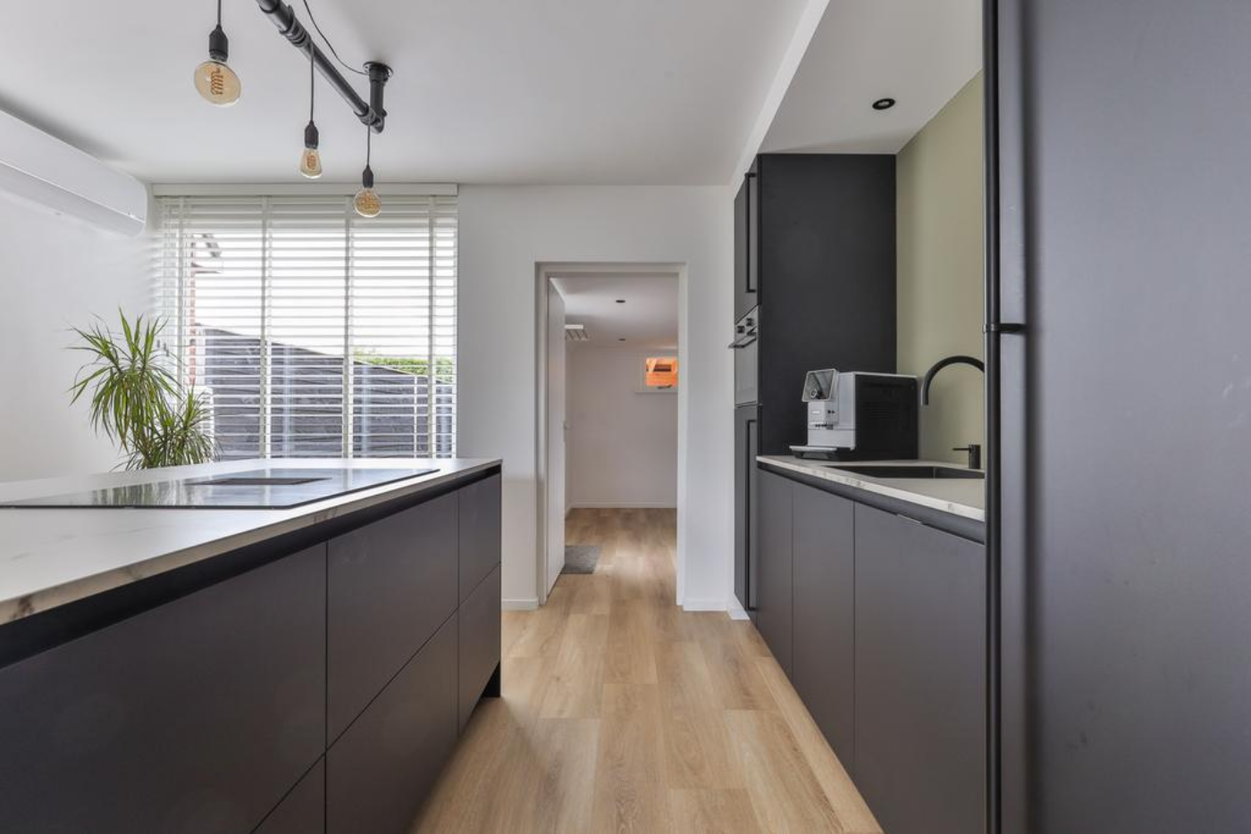 Flaaks-ikker 12 Westergeast - Afbeelding 3.jpg