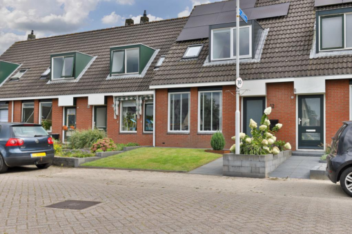 Flaaks-ikker 12 Westergeast - Afbeelding 9.jpg