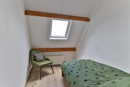 Flaaks-ikker 12 Westergeast - Afbeelding 28.jpg