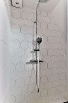 Flaaks-ikker 12 Westergeast - Afbeelding 34.jpg