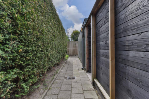 Flaaks-ikker 12 Westergeast - Afbeelding 42.jpg