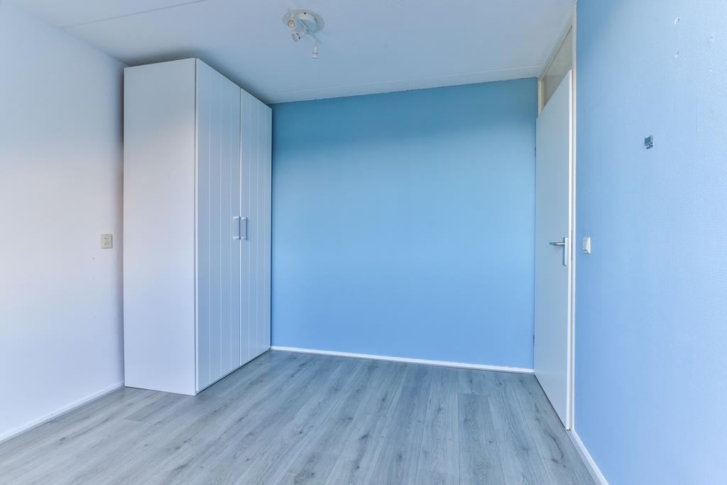 Flaaks-ikker 18 Westergeast - Afbeelding 32.jpg