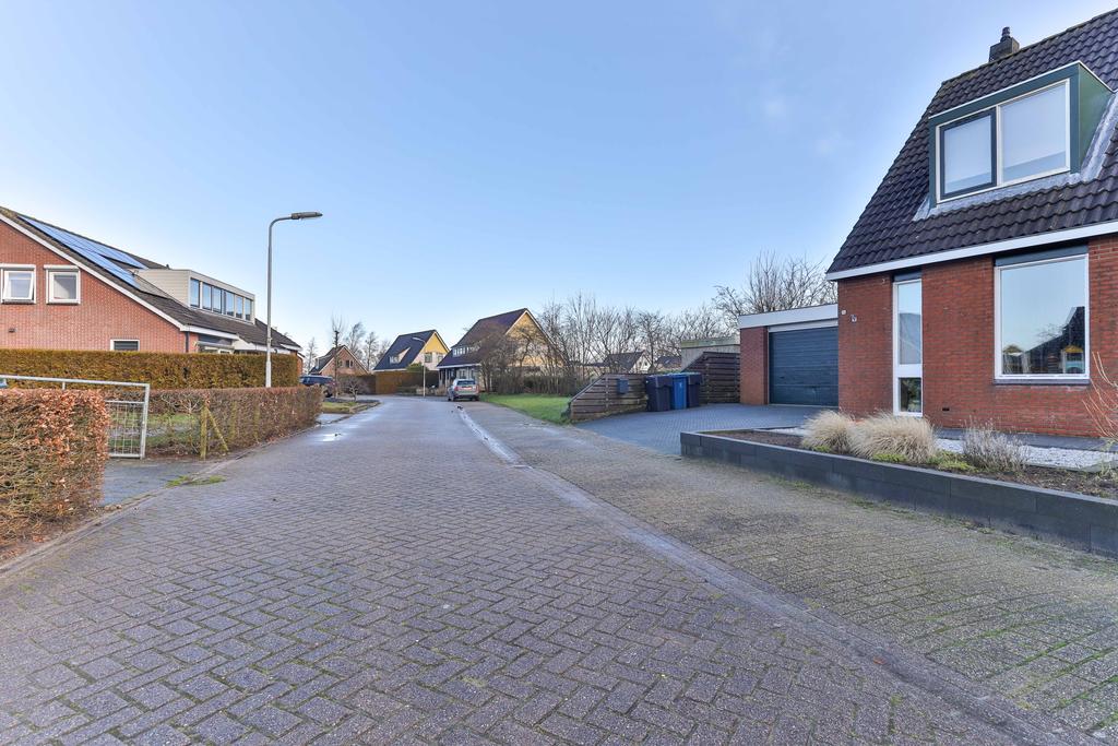 Flaaks-ikker 18 Westergeast - Afbeelding 46.jpg