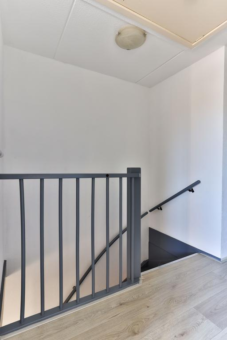 Flaaks-ikker 18 Westergeast - Afbeelding 25.jpg