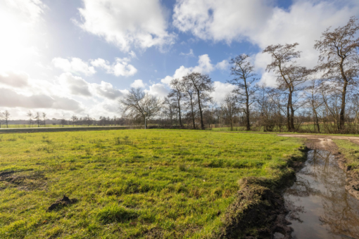 Foarwei 21-0 Aldwâld - Afbeelding 24.jpg