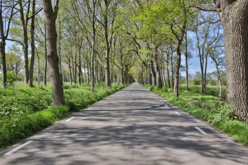 Folgerster Loane 72 Drachtstercompagnie - Afbeelding 28.jpg