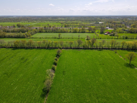 Folgerster Loane 72 Drachtstercompagnie - Afbeelding 44.jpg