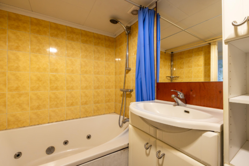 Friese Streek 27 Stroobos - Afbeelding 21.jpg