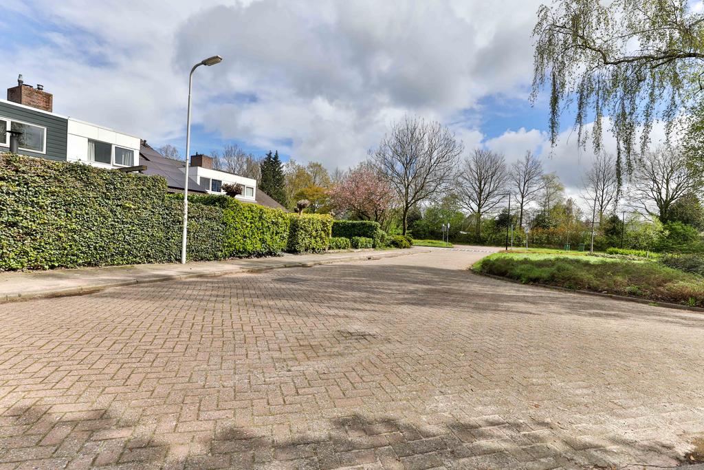 Frisiasingel 29 Burgum - Afbeelding 45.jpg