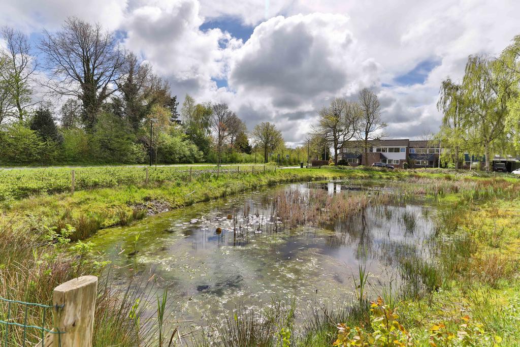 Frisiasingel 29 Burgum - Afbeelding 47.jpg