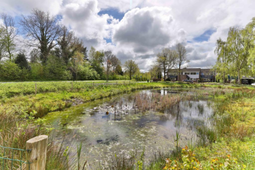 Frisiasingel 29 Burgum - Afbeelding 47.jpg