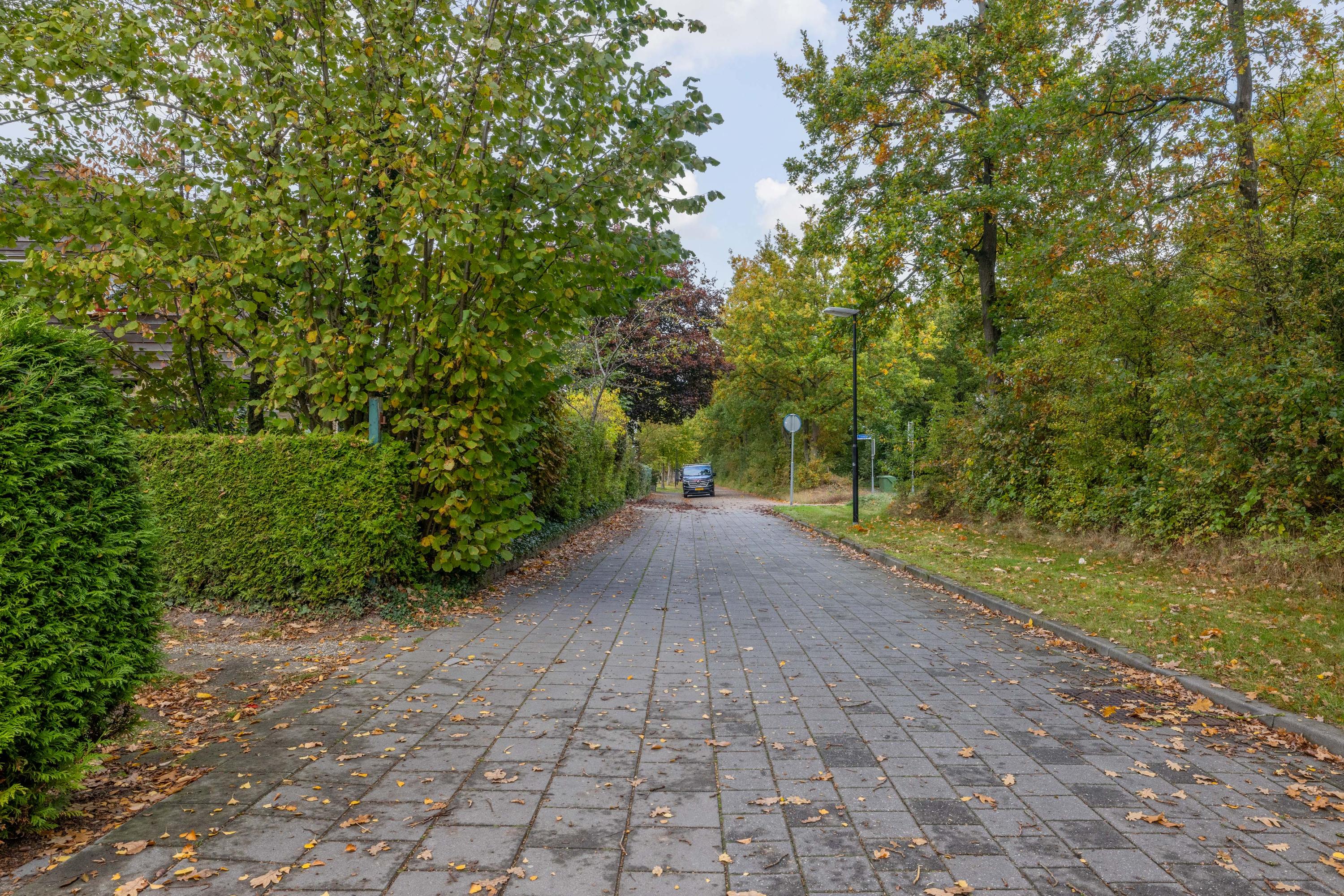 Frisiasingel 31 Burgum - Afbeelding 44.jpg