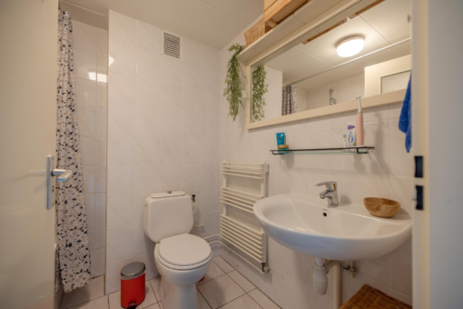 Frisiasingel 31 Burgum - Afbeelding 24.jpg