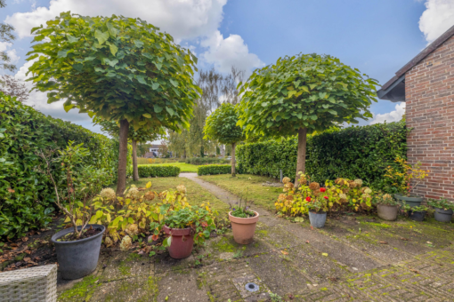 Frisiasingel 31 Burgum - Afbeelding 39.jpg