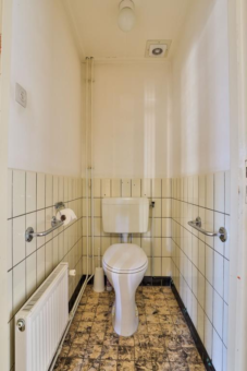 Greate Buorren 19 Britsum - Afbeelding 29.jpg