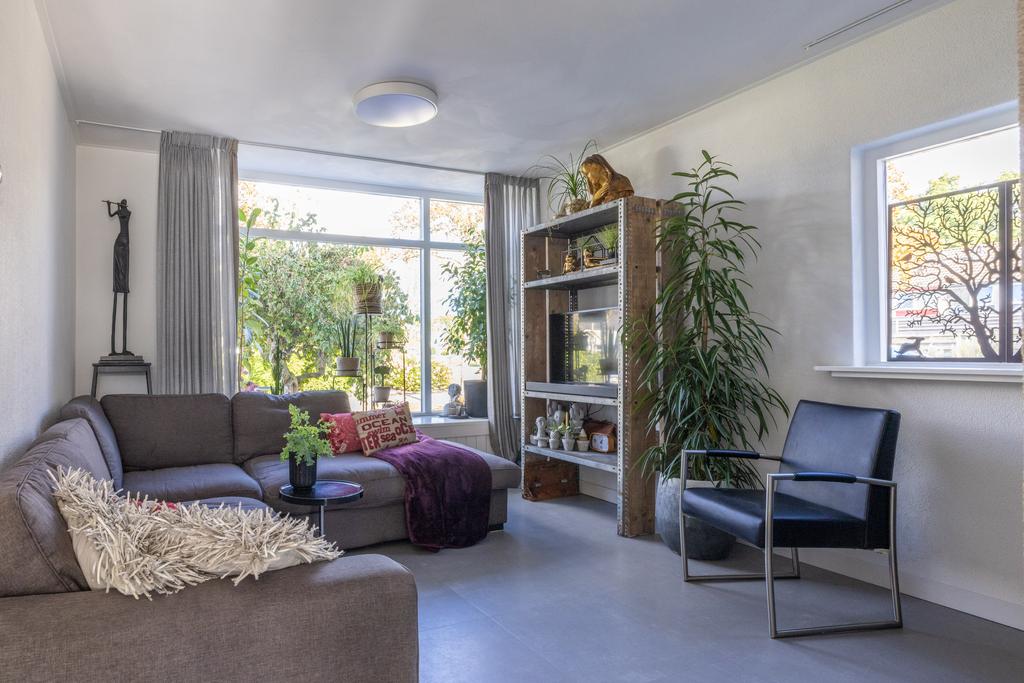 Grimbeert 5 Kollum - Afbeelding 15.jpg