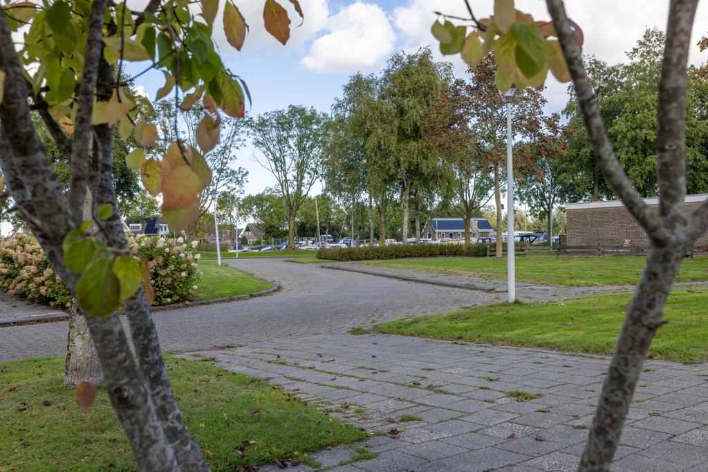 Grimbeert 5 Kollum - Afbeelding 5.jpg