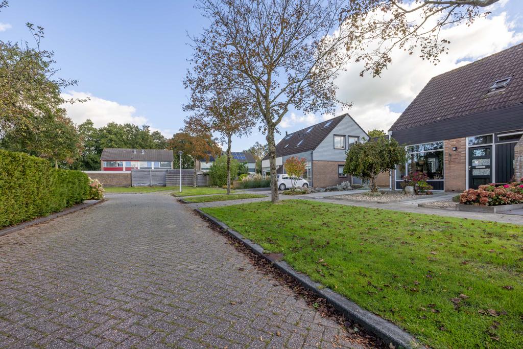 Grimbeert 5 Kollum - Afbeelding 7.jpg